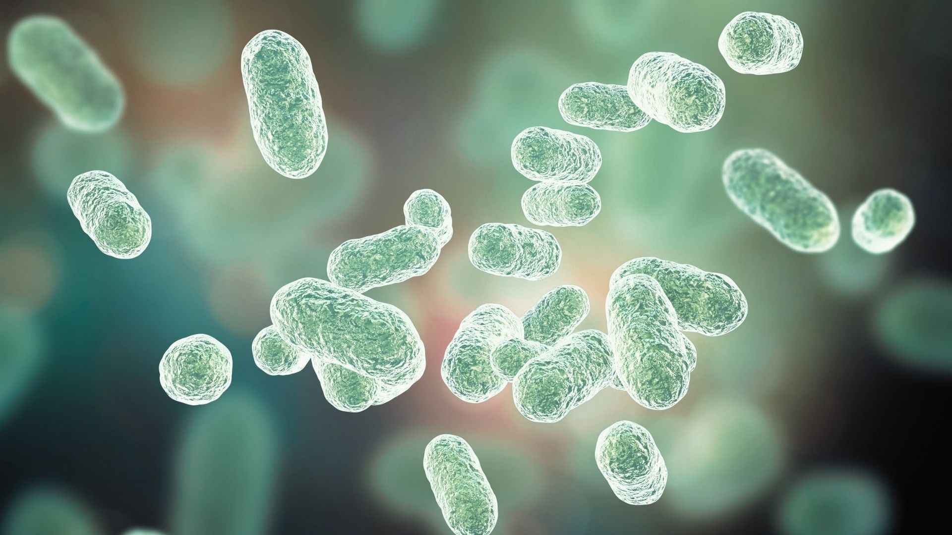 Varias startups biotecnolgicas prometieron descifrar el cdigo del microbioma, pero pocas lograron la viabilidad a largo plazo